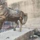 Man arrested for vandalizing Mahraja Ranjit Singh statue