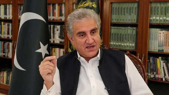 FM Qureshi hints at conditional 'pardon' for TTP members