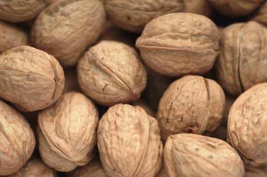 Walnuts reduce risks of coronary heart disease New study