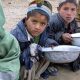 More than half of Afghans face ‘acute’ food shortage: UN