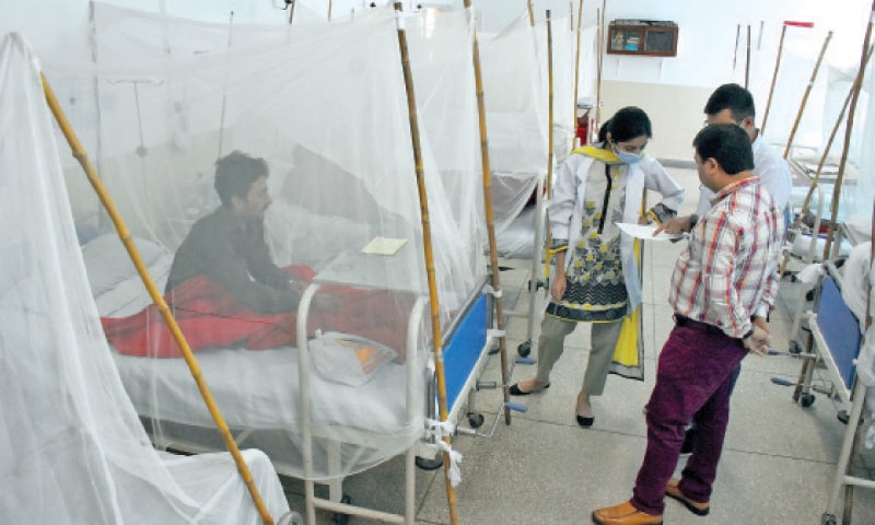 No letup in sight as hospitals in KP continue to receive dengue patients
