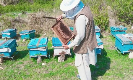 Traders say situation in Afghanistan cripples honey exports
