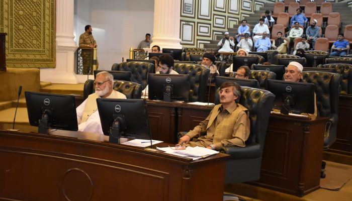 ANP demands removal of hurdles to Pak-Afghan trade
