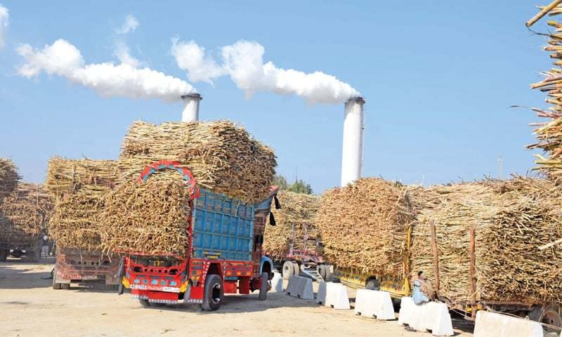 Sugarcane unavailability: Premier Sugar Mill Mardan on verge of closure