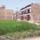 Housing boom: Mills in KP face sugarcane shortage