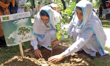 'Sheen Pekhawar': Govt to launch another tree plantation drive