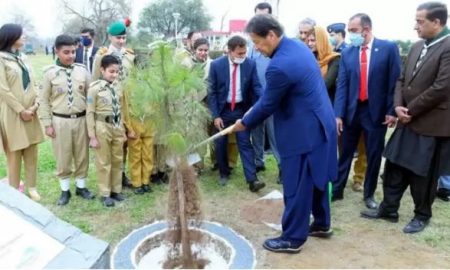 PM says forestation crucial for climate-vulnerable Pakistan
