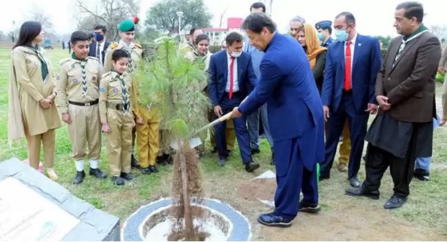 PM says forestation crucial for climate-vulnerable Pakistan
