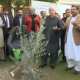 KP to plant 100mn saplings in spring plantation drive