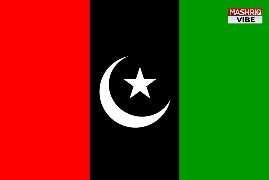 PPP decides launching protest movement against KP Govt