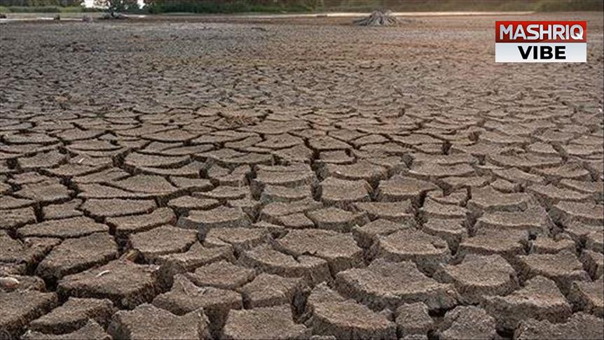 Droughts may affect more than 75% of world’s population