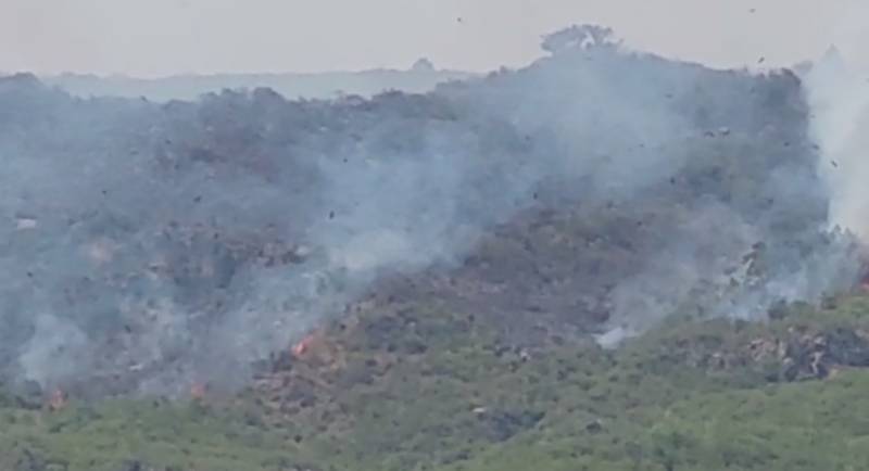 forest fire in Swat