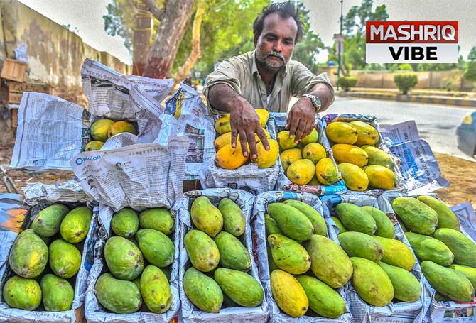 Pakistan’s prized mango
