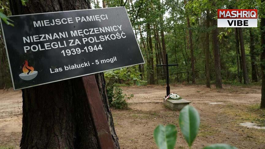 Remains of 8000 Nazi war victims found in Poland