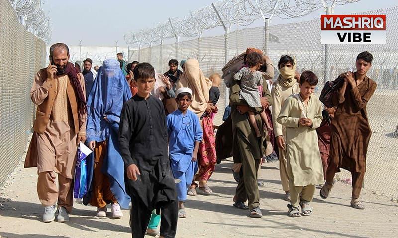 NA body expresses concern over illegal inflow of Afghan nationals to Pakistan