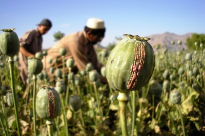 Afghanistan despite Taliban ban