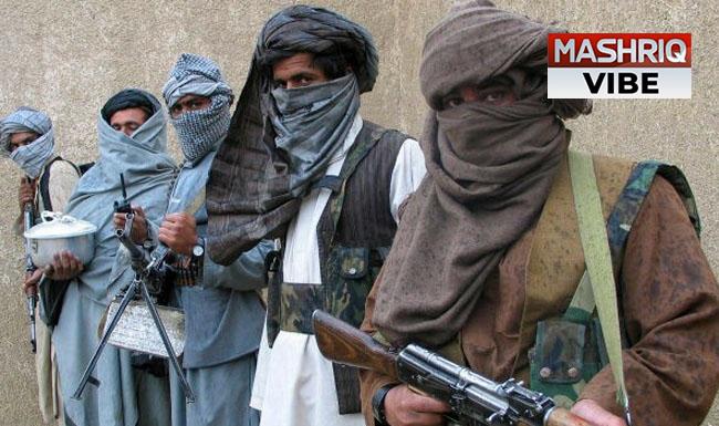 Taliban ends ceasefire, orders militants to carry out attacks