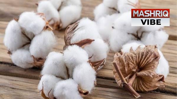 Pakistan faces sharp decline in cotton production