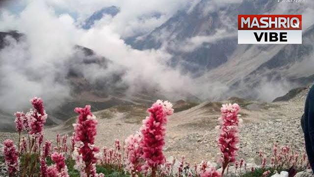 Canadian Company Seizes Mountains in Pakistan