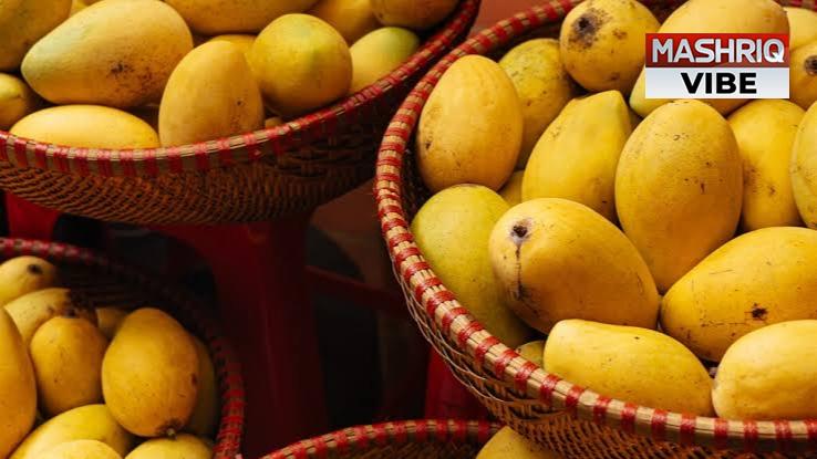 Excessive Mango Health Risks