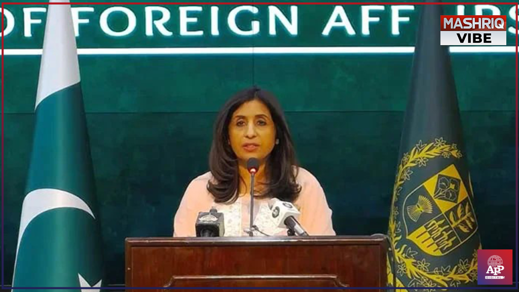 India must stop campaign to suppress political activists, intimidate Kashmiris: FO spox