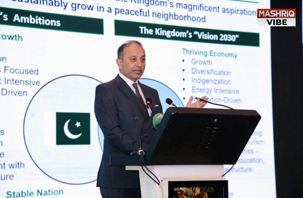 Musadik urges private sectors of Pakistan, SA to collaborate towards economic diversification, value addition