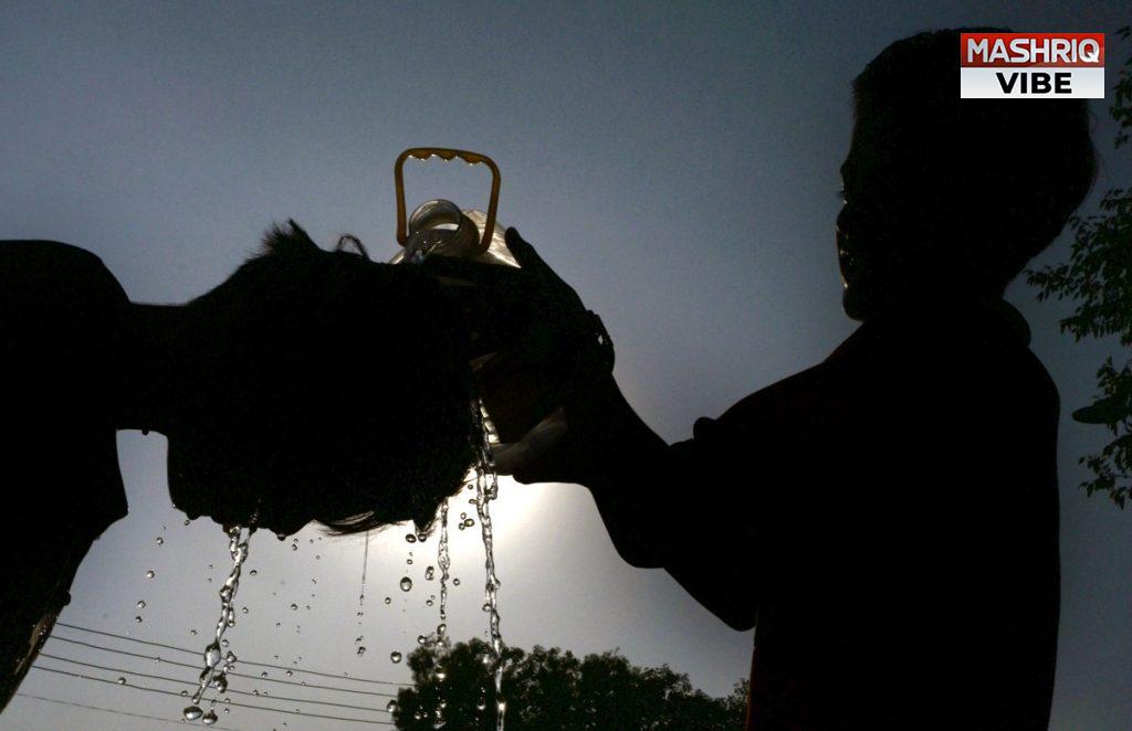 26 districts in three provinces severely affected by searing heatwave