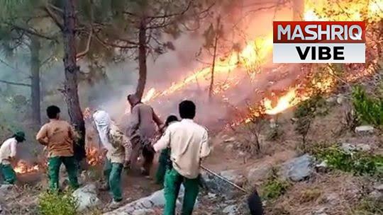 Raging Wildfire in Margalla Hills Worsens with Strong Winds
