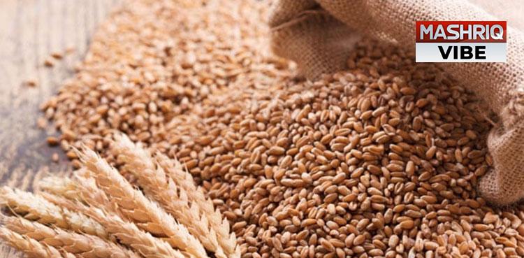 KP Govt to start 3 lac MT wheat procurement from May 7: Minister
